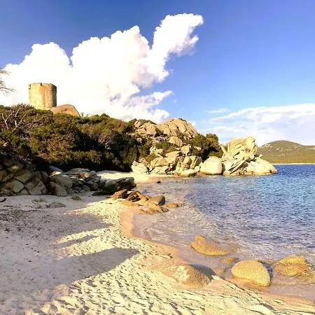 Villa De 5 Chambres A Pianottoli Caldarello A 300 M De La Plage Avec Piscine Privee Jardin Clos Et Wifi Villa Pianottoli-Caldarello (Corsica)