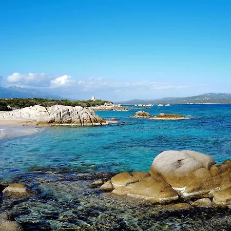 Villa De 5 Chambres A Pianottoli Caldarello A 300 M De La Plage Avec Piscine Privee Jardin Clos Et Wifi Villa Pianottoli-Caldarello (Corsica)